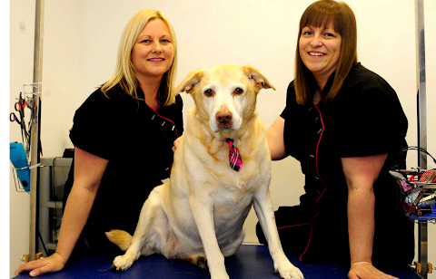 Happy Tails Dog Groomers