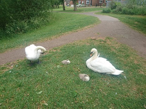 Kirk Hallam Lake & Meadows