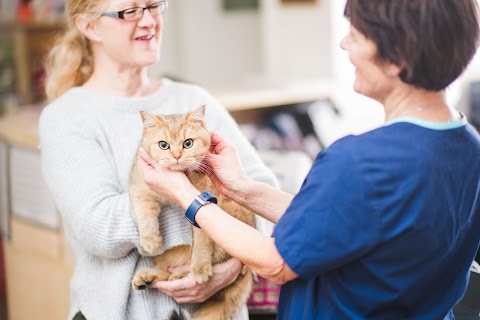 Orchard Veterinary Surgery