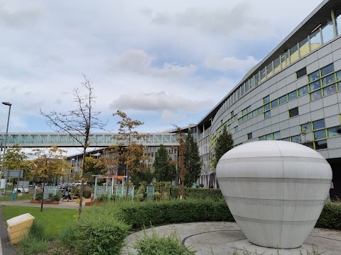 Royal Manchester Children's Hospital Garden