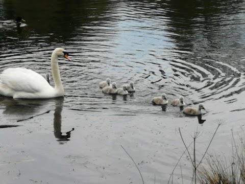 Callendar Park