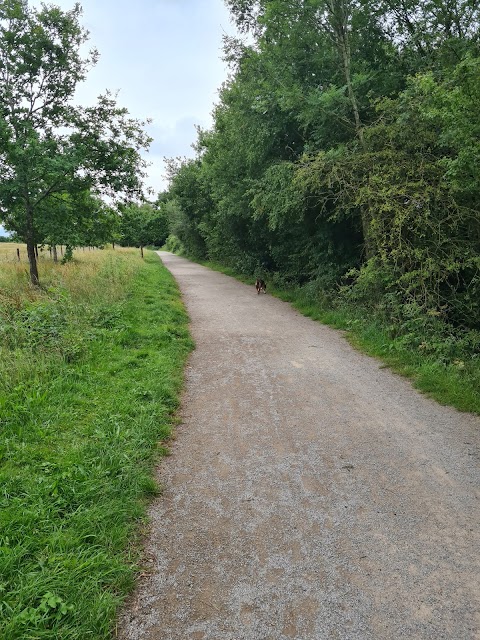 Ryton Pools Country Park