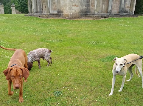 Woof Woof Dog Walker