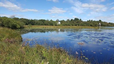 Llyn Llech Owain Country Park