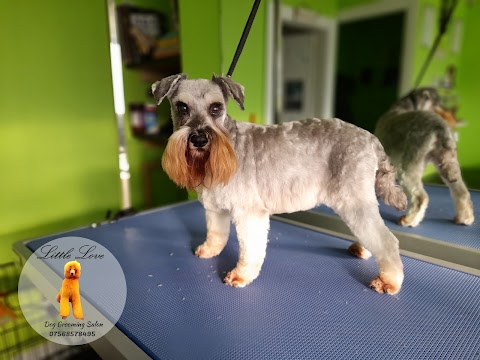 Little Love Dog Grooming