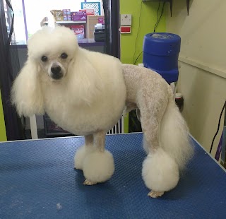 Kelly's Dog Grooming - Fairfield