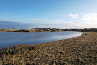 Forvie National Nature Reserve