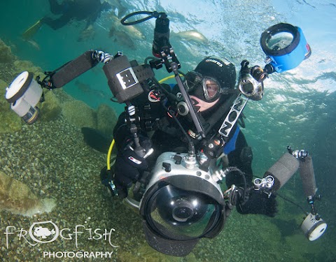 DLS (DIVE LIFE SHOP)