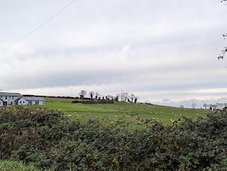 Bellewstown Kennels and Cattery