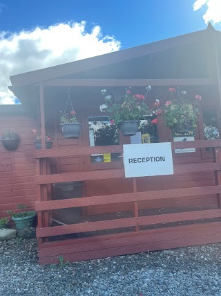 Bucklyvie Cottage Cattery