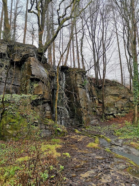 Craig Gwladys Country Park