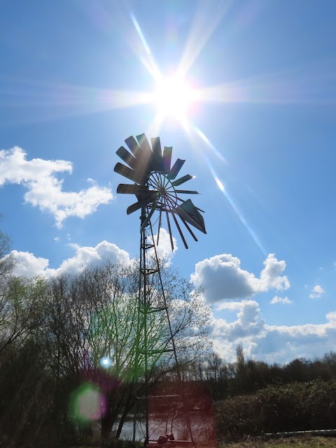 Brandon Marsh Nature Reserve