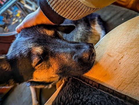 St Werburghs City Farm Cafe