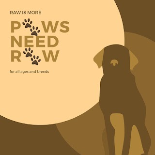 Paws Need Raw