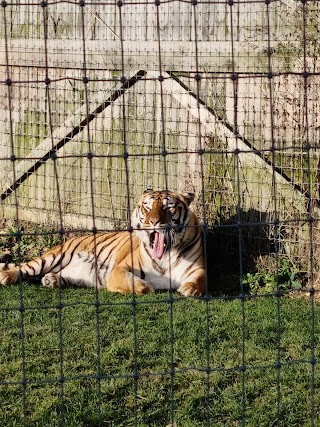 Lincolnshire Wildlife Park