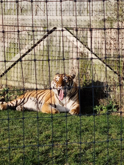 Lincolnshire Wildlife Park