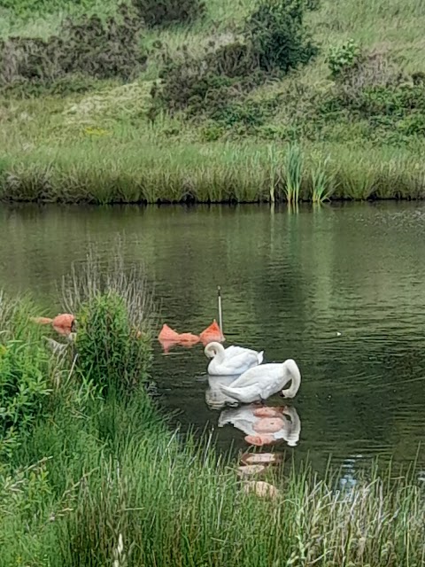 Parc - Nant - Y - Waun