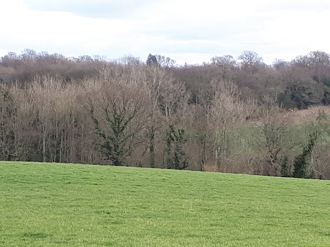 Cinder Hill Equine Clinic