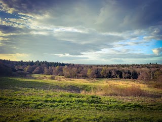 Farley Mount Country Park