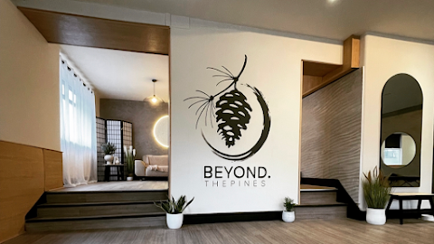 Beyond the pines studio