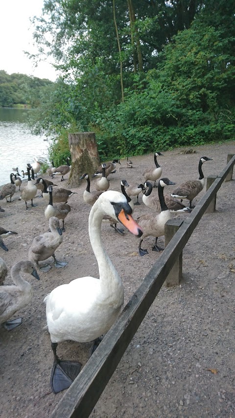 Rufford Abbey Country Park