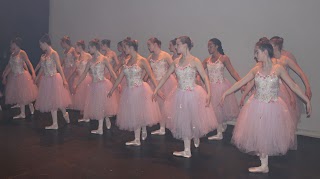 Bray School of Dance