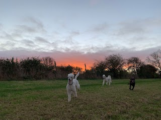 Perfect Paws (Melton Mowbray) Boarding Kennels & Cattery