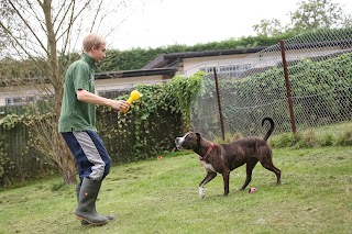 Green Lane Farm Boarding Kennels