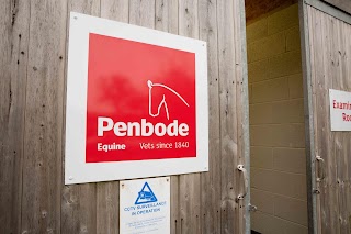 Penbode Equine Vets, Tavistock (equine care)