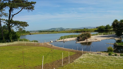 The Kingfisher Cafe at Castle Espie