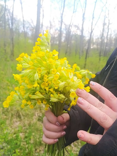 Зелена Планета Земної