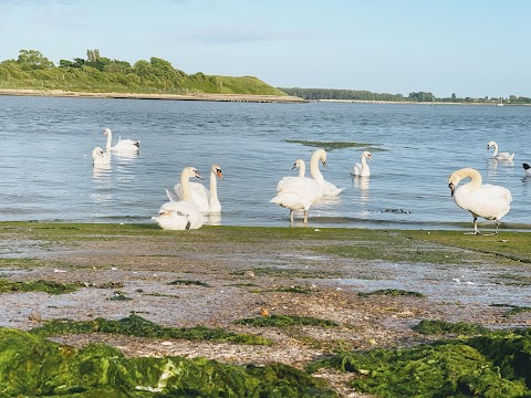 Broadmarsh Coastal Park