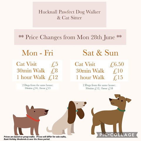 Hucknall Pawfect Dog Walker & Cat Sitter