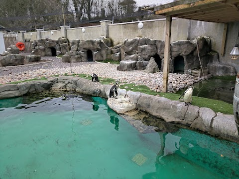 Exploris Aquarium