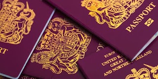 Multi Travel Visas