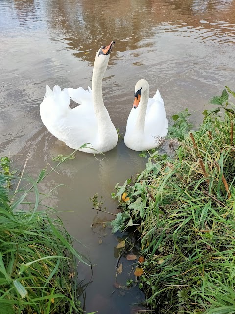 The Waterside Bistro in Haddington