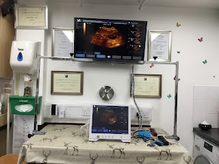 Lincoln Canine Ultrasound Scanning