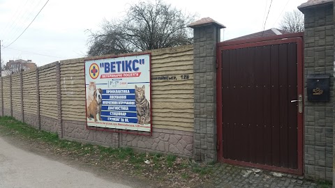 Ветікс