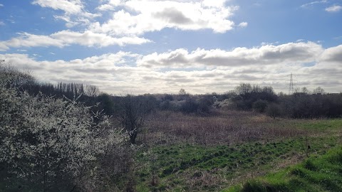 Chorlton Ees Nature Reserve