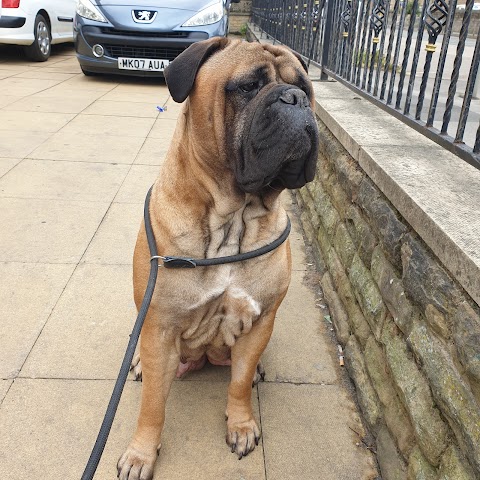 Richmond House Veterinary Centre