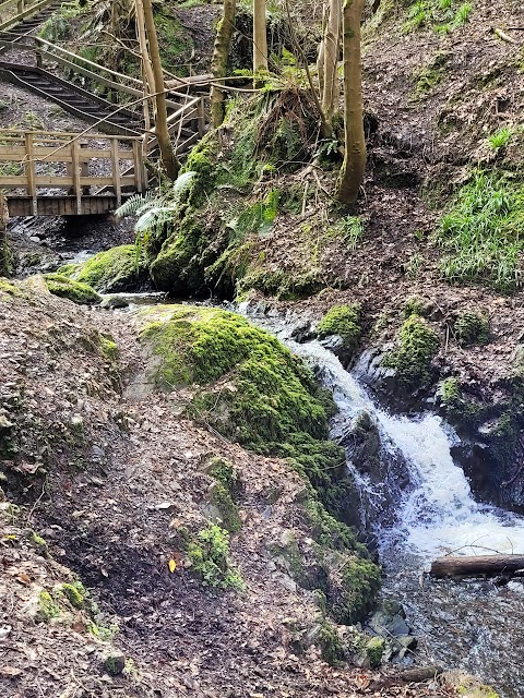 National Trust Lisnabreeny Cregagh Glen