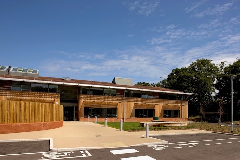 TreeHouse School