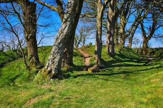 National Trust - Lisnabreeny