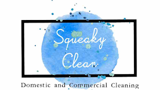 Squeaky Clean South