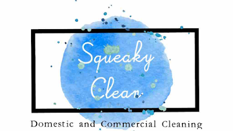 Squeaky Clean South