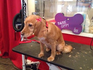 Lead'n'Lady Dog Grooming Salon & Boutique