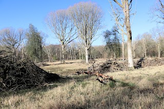 Pamber Forest Nature Reserve