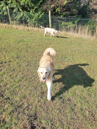 Tails-A-Waggin' Grooming and Dog Walking