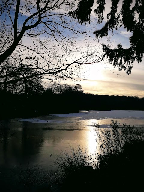 Allestree Park Lake