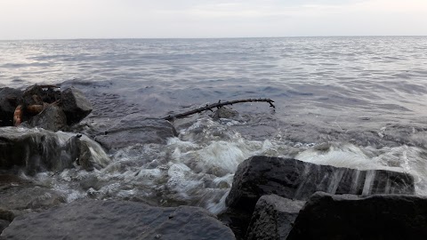 База відпочинку Динамо